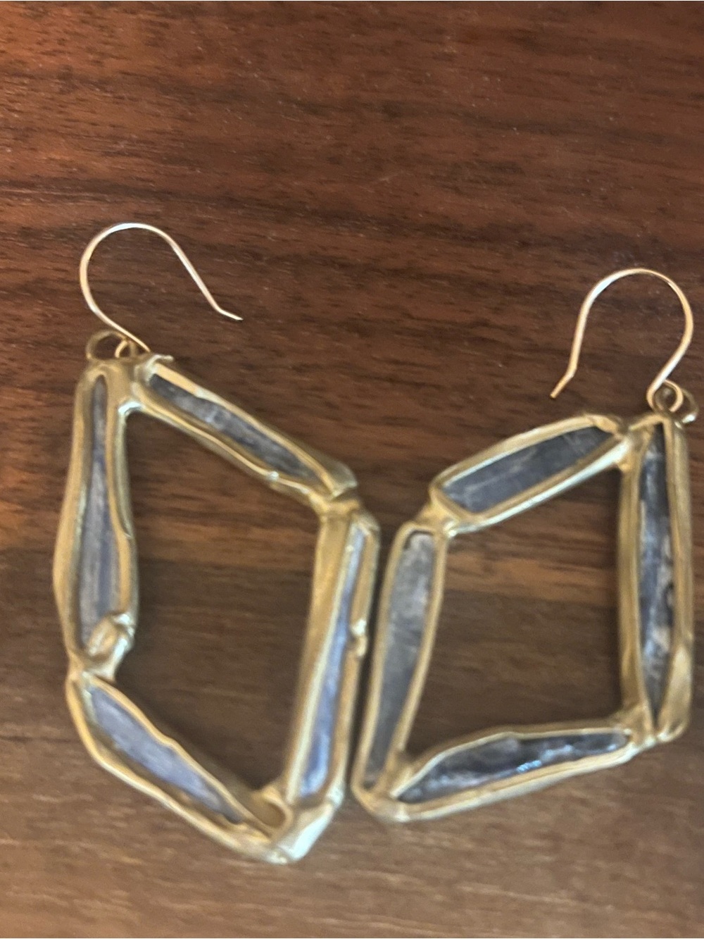 Emilie Shapiro kyanite and brass earrings new